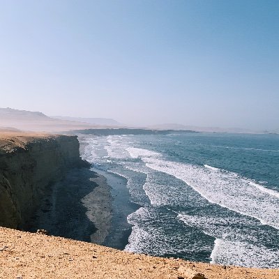 sophiepanabaker's profile picture. 