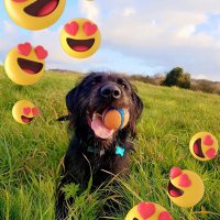 Headingsomewhere(@Headingsomewhe1) 's Twitter Profile Photo Headingsomewhere(@Headingsomewhe1) 's Twitter Profile Photo
