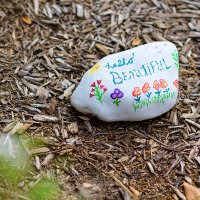 Focused on Health (@focusedonhealth) 's Twitter Profile