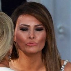 Thoughts & commentary by Melania, Slovenian super model, FLOTUS #45, wife #3 of individual-1, BeBest anti-bullying advocate/pamphlet borrower, Parody