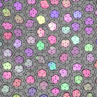 Blainey Lab (@blaineylab) 's Twitter Profile