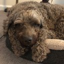 Susan Stultz - @SusanStultz2 - Twitter