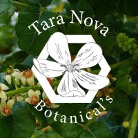 Tara_ Nova (@tara0nova) 's Twitter Profile