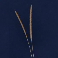 thecunning (@cunningfilm) 's Twitter Profile Photo thecunning (@cunningfilm) 's Twitter Profile Photo