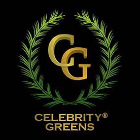 Celebrity Greens Europe WorldWide Synthetic Turf Company ⛳️ specializing in world class golf greens and courses