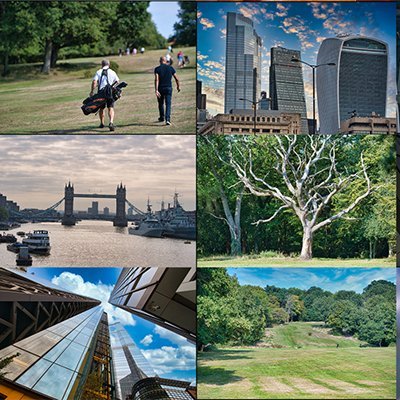 William19073051's profile picture. Luxury fine art | Photography for fine art collectors