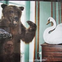 sam nichols (@soundlabucd) 's Twitter Profile