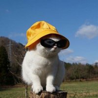 lahmacunkafalı (@iklimlerdeyiz) Twitter profile photo