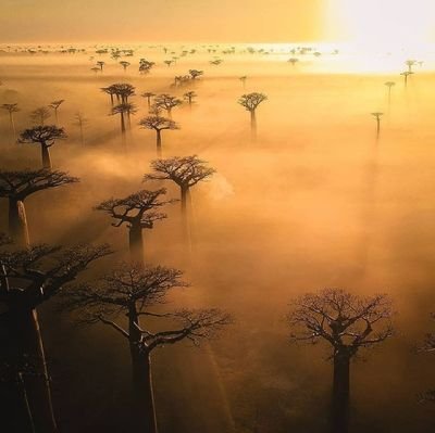 _timss__'s profile picture. sc;👻@chubby_narnah