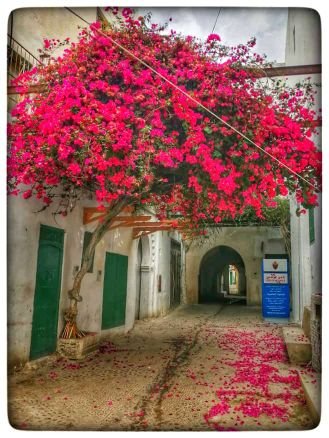 Nourami7's profile picture. 