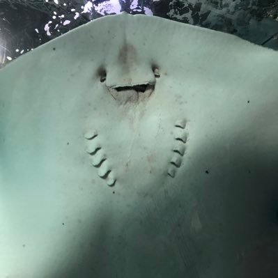 ttakさんのプロフィール画像