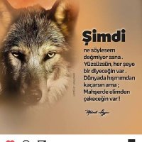 Müslüm (@muslum273427) 's Twitter Profile