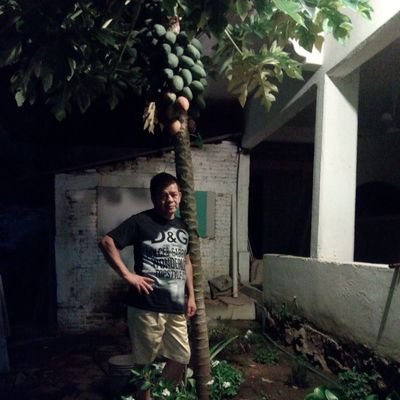 Eduardo88433193's profile picture. 