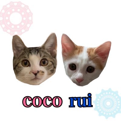 RAN55866313's profile picture. 