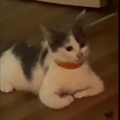 PalletsPvP's profile picture. Ex @MineHQ & @ArcaneCC.