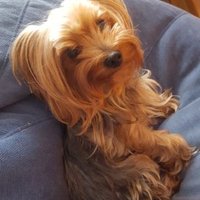 Kily (@kily1978) 's Twitter Profile
