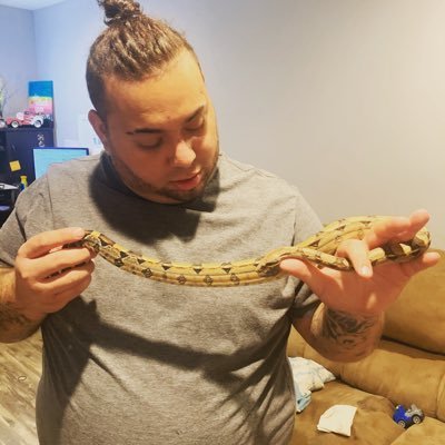 stakcz2's profile picture. 