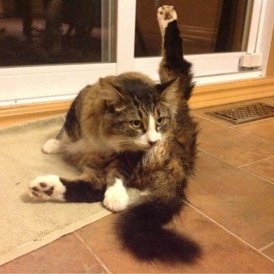 myauciymk357's profile picture. 