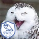 OxonOwl's profile picture. @OxonOwl@mastodonapp.uk

Husband, Father, Table Tennis Player, SWFC supporter from Oxfordshire ... and I have to work  in IT for a living too.