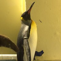 まき (@_ttmkttmk) Twitter profile photo