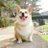 toyosho_ebityan