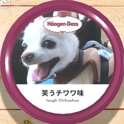 舘本 真一 昭和の一つの終わり 赤チン 最後の1社が製造終了 最盛期は100社 日刊スポーツ T Co Uamwj5jugg 舘本 真一 昭和の一つの終わり 赤チン 最後の1社が製造終了 最盛期は100社 日刊スポーツ T Co Uamwj5jugg