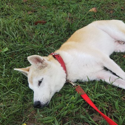 mikaringo18's profile picture. SIAMSHADE / TM NETWORK /
Janne Da Arc / ME:I / Girls2
その他ざっくばらんに呟きます。
母娘:石井蘭ちゃん推し
母 : 宇都宮隆さん❤️❤️
(こんなセクシーな方はおりません❤️)

無言フォロー失礼致します！
FANKSの皆様色々教えて下さい🙏