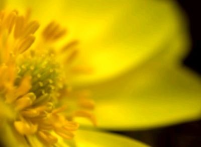 sarasar74544615's profile picture. 日々…自分らしく…自由に生きる✨
北の大地の住民です✨👍✨