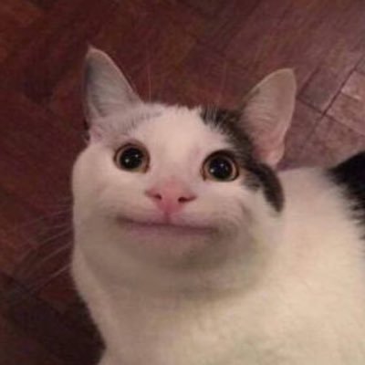 fatimaaa985's profile picture. 