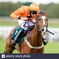 Jane Williams Racing (@nandj_williamsr) 's Twitter Profile