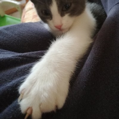 gia_maz's profile picture. informarsi e conoscere...aiuta a vivere meglio!