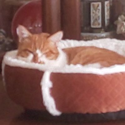 Kyokyoにゃん タバコシバンムシ 虫が苦手な方はスルー してください 梅雨が始まる頃から必ず出てくる 小さな虫 老眼2人の前を通りすぎる 飛ぶのよ なんだかも分からず困っていたけど遂に 判明 タバコシバンムシ 捕獲方法をググったら Gホイホイみたい Kyokyoにゃん タバコシバンムシ 虫が苦手な方はスルー してください 梅雨が始まる頃から必ず出てくる 小さな虫 老眼2人の前を通りすぎる 飛ぶのよ なんだかも分からず困っていたけど遂に 判明 タバコシバンムシ 捕獲方法をググったら Gホイホイみたい