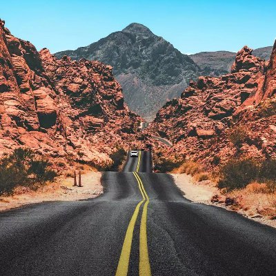 Albatros091's profile picture. ICPets Gang