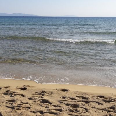 Alkhyl1's profile picture. (Théorème de) Javier Milei: El Estado no es la solución, es la base de todos los problemas que tenemos.