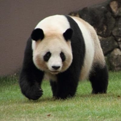 queue67142075's profile picture. 