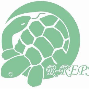 rhyme_world2's profile picture. リクガメ、ミズガメ、ハコガメマニア
Instagramも一緒にどうぞ🎵
↓
Instagram
https://t.co/44RgiZ3RYu

My reptile world  動物取扱業有