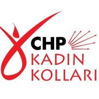 CHP PAMUKKALE KADIN KOLLARI(@chp_pamukkale) 's Twitter Profileg