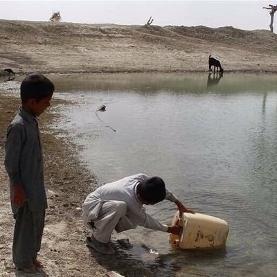 baloch3642's profile picture. خاک میخورم اما خاک نمی‌فروشم