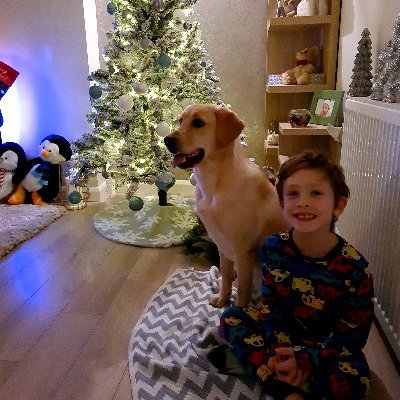 marnick_stephen's profile picture. 