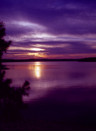 4star_'s profile picture. 紫星と書いてシスターと読みます★