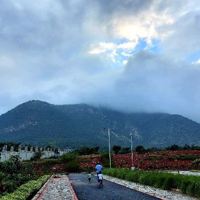 Rahul Sirohi Profile