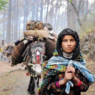 The Bakarwals are a mostly Muslim nomadic tribe based in the Pir Panjal and Himalayan mountains. They are traditionally & still mainly goatherds shepherds.