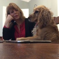 Caroline Osborne (@carolineleo123) 's Twitter Profile