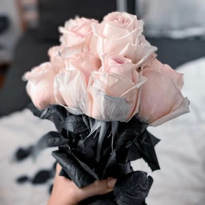 noufa132456's profile picture. 