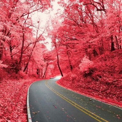 Priyankadam2's profile picture. music lover 
simple girl