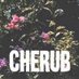 Vote for Cherub Hottest 100 (@forcherub) Twitter profile photo
