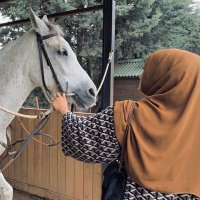 Özlem (@atlaraolansevda) Twitter profile photo