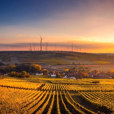 EcoJob1's profile picture. Helping you find your future Green Career