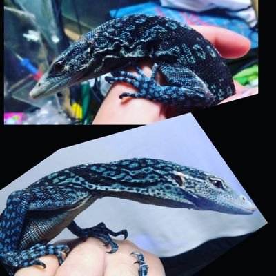 なかちゃ（旧なかた）さんのプロフィール画像