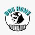 Dog Home Foundation (@DHFJodhpur) Twitter profile photo